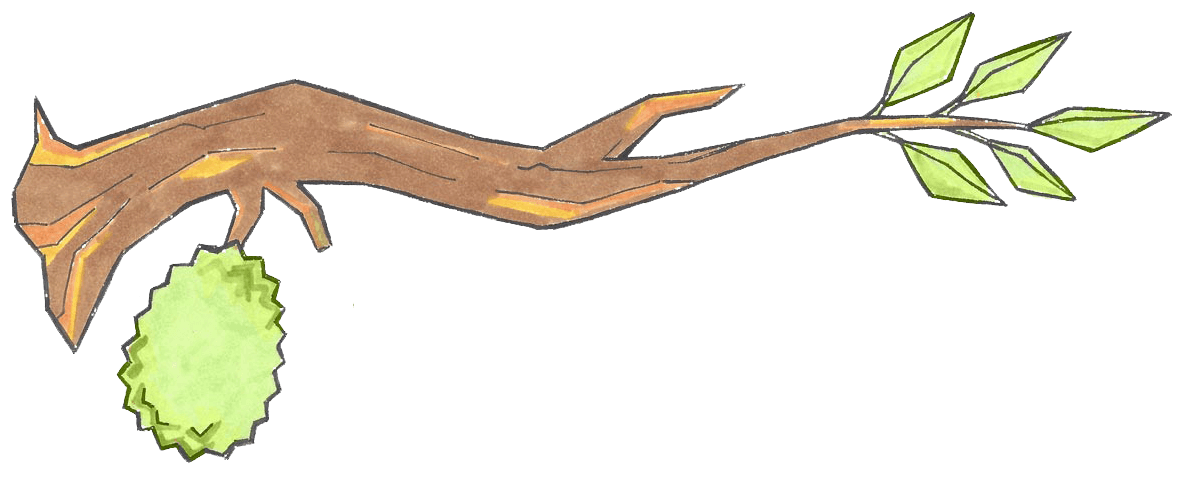 Durian Email Newsletter